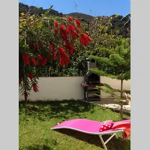 La Peña Rojo Wifi , Tarifa España
